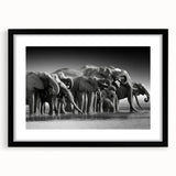 Framed wall art showcasing a stunning black-and-white elephant design, featuring a sleek mat and modern frame, perfect for animal lovers and home decor enthusiasts.