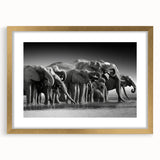 Elegant wall art collection featuring a majestic elephant design framed in gold, showcasing intricate details and textures. Perfect for wildlife enthusiasts and home decor.