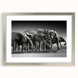 Framed wall art featuring a majestic elephant design from the 'A Wild Life' collection, with a silver frame and mat, perfect for adding elegance to any space.