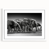 Framed wall art showcasing a stunning elephant design, featuring a white mat and sleek frame, perfect for enhancing any living space with a touch of wildlife elegance.