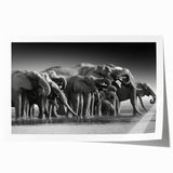 Elephant-themed wall art print showcasing a vibrant and colorful design, perfect for adding a touch of wildlife decor to any room, rolled for easy display.