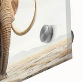 Close-up of a stunning acrylic glass wall art piece featuring a detailed elephant design, showcasing intricate textures and vibrant colors, perfect for wildlife enthusiasts.