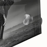 Close-up of a stunning acrylic wall art piece showcasing a realistic elephant design, highlighting intricate details and textures, ideal for wildlife enthusiasts.