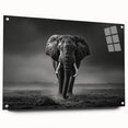 Acrylic wall art displaying a detailed side view of an elephant design for wildlife enthusiasts, showcasing vibrant colors and intricate details, ideal for home decor.
