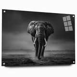 Acrylic wall art displaying a detailed side view of an elephant design for wildlife enthusiasts, showcasing vibrant colors and intricate details, ideal for home decor.