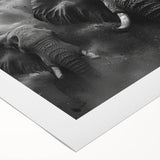 Elephant-themed wall art design on rolled canvas, showcasing vibrant colors and intricate details, ideal for adding a touch of wildlife decor to any space.