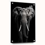 Acrylic wall art piece showcasing a side view of a majestic elephant, featuring intricate design details and vibrant colors, perfect for wildlife decor enthusiasts.