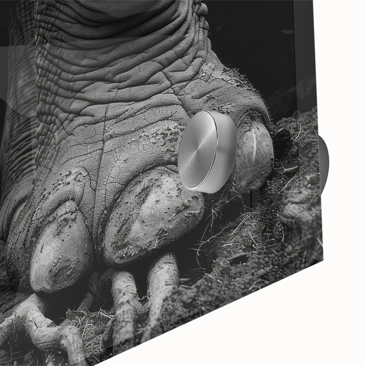 Close-up of a vibrant acrylic glass wall art design featuring an elephant, showcasing intricate details and textures, perfect for wildlife enthusiasts and home decor.