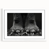 Framed wall art featuring a majestic elephant design in a white mat, ideal for wildlife enthusiasts and home decor, showcasing intricate details and vivid colors.