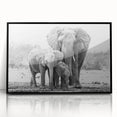 Framed wall art showcasing a striking black and white elephant design, set against a sleek acrylic background, perfect for enhancing modern home decor.