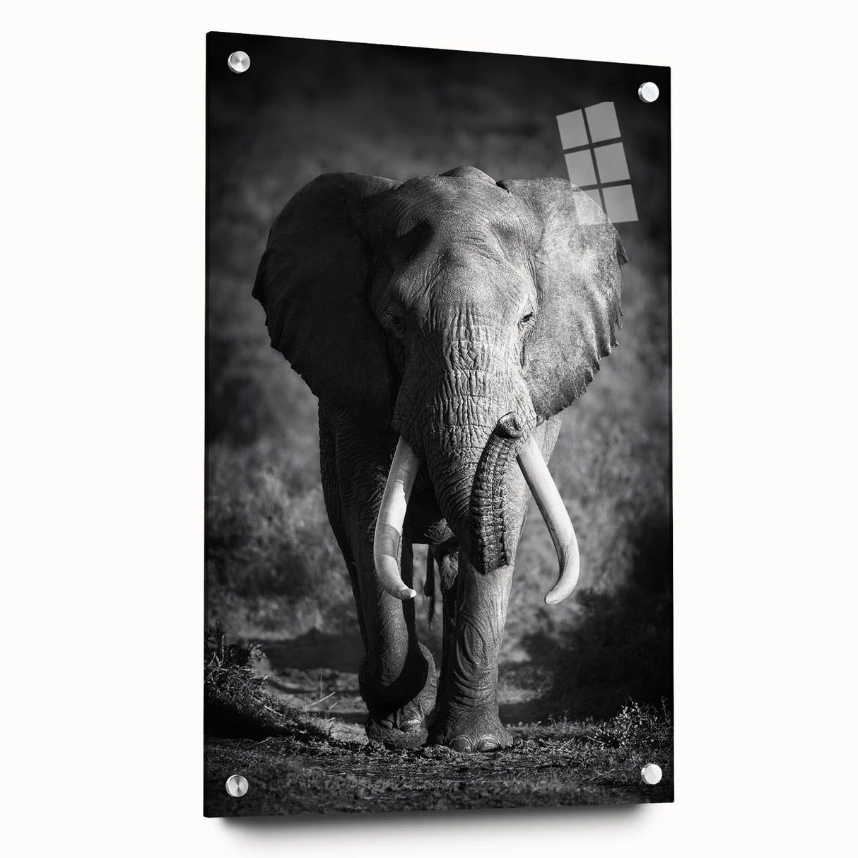 Acrylic wall art featuring a side view of a majestic elephant, showcasing intricate design details and vibrant colors, perfect for wildlife enthusiasts' decor.