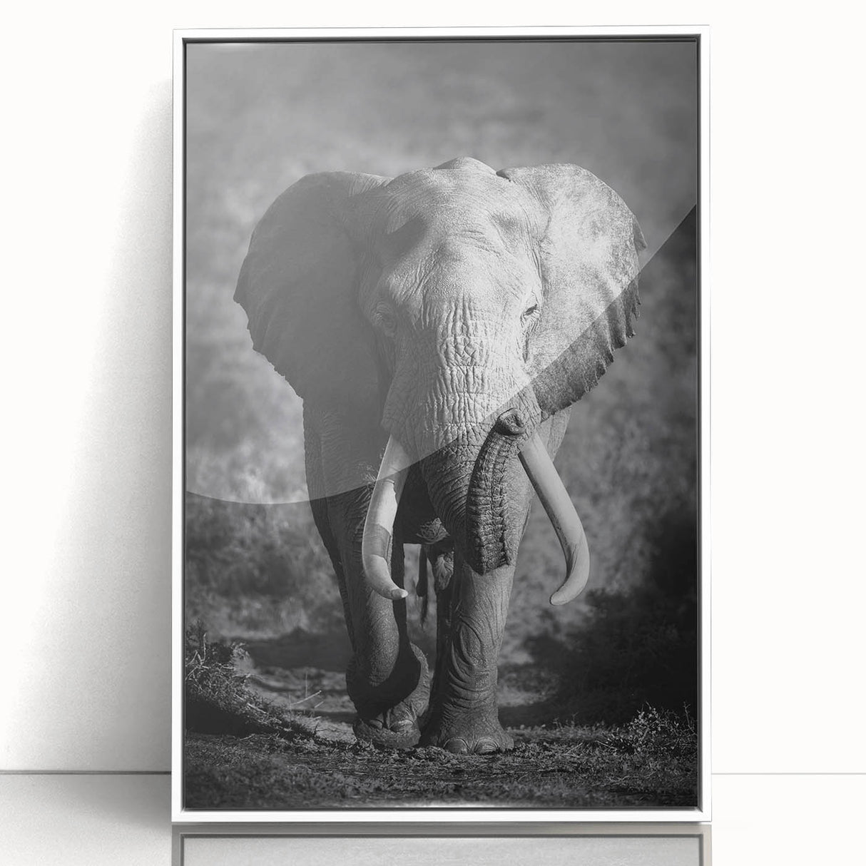 Framed wall art featuring a striking elephant design in white acrylic, showcasing intricate details and vibrant colors, perfect for animal lovers and home decor enthusiasts.
