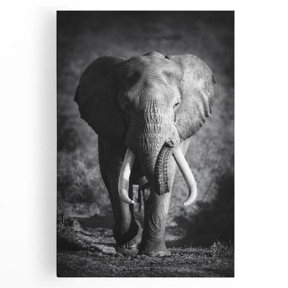 Stretched canvas featuring a vibrant elephant design for wall art, showcasing detailed textures and colors, perfect for wildlife enthusiasts and home decor.