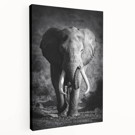 Stretched canvas wall art featuring a majestic side view of an elephant, showcasing intricate details and textures, ideal for wildlife enthusiasts and interior decor.