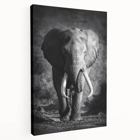 Stretched canvas wall art featuring a majestic side view of an elephant, showcasing intricate details and textures, ideal for wildlife enthusiasts and interior decor.