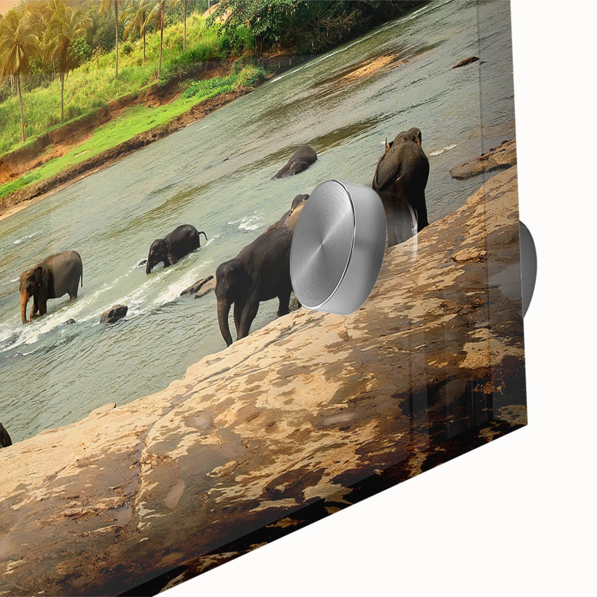 Close-up of a vibrant acrylic wall art piece showcasing a majestic elephant in its natural habitat, highlighting intricate details and rich colors, perfect for wildlife enthusiasts.