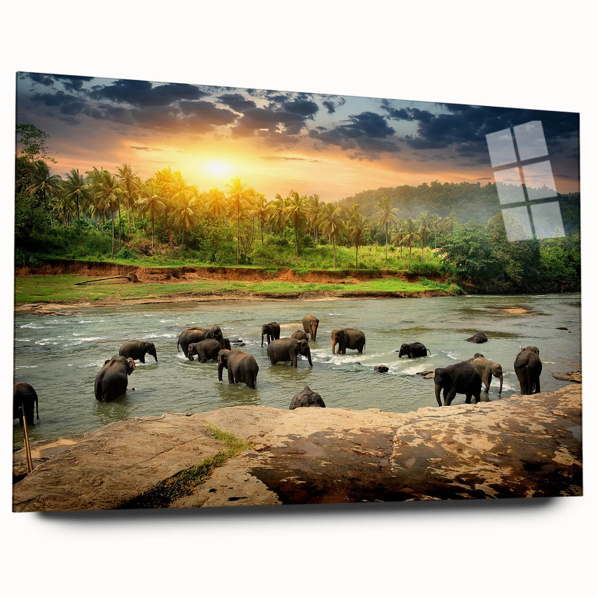 Elegant acrylic wall art showcasing a side view of a majestic elephant against a vibrant backdrop, ideal for wildlife enthusiasts and modern decor. The intricate design highlights the elephant's features, making it a stunning focal point for any room.