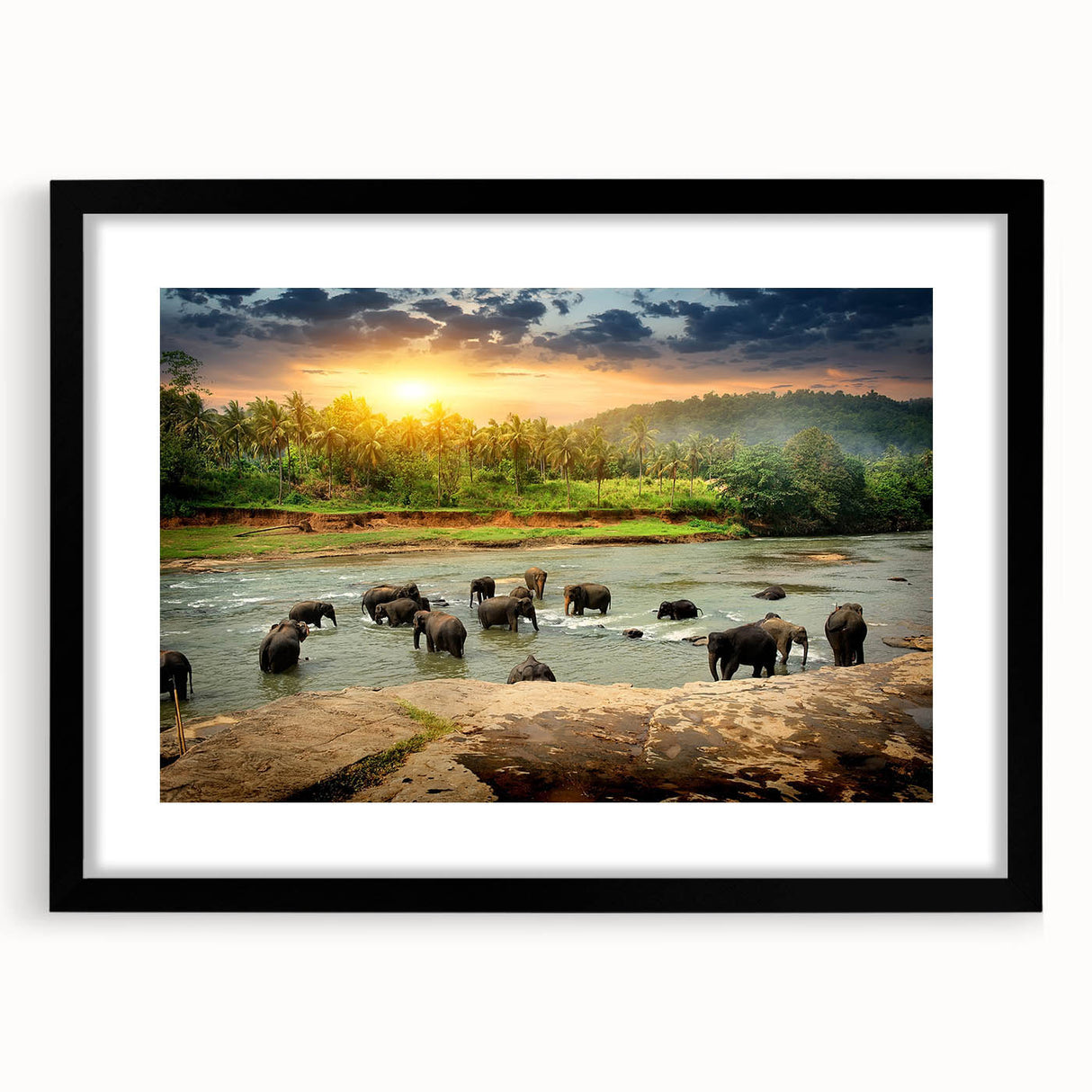 Framed wall art featuring a striking black-and-white design of an elephant, set against a matte background, perfect for wildlife enthusiasts and modern decor.