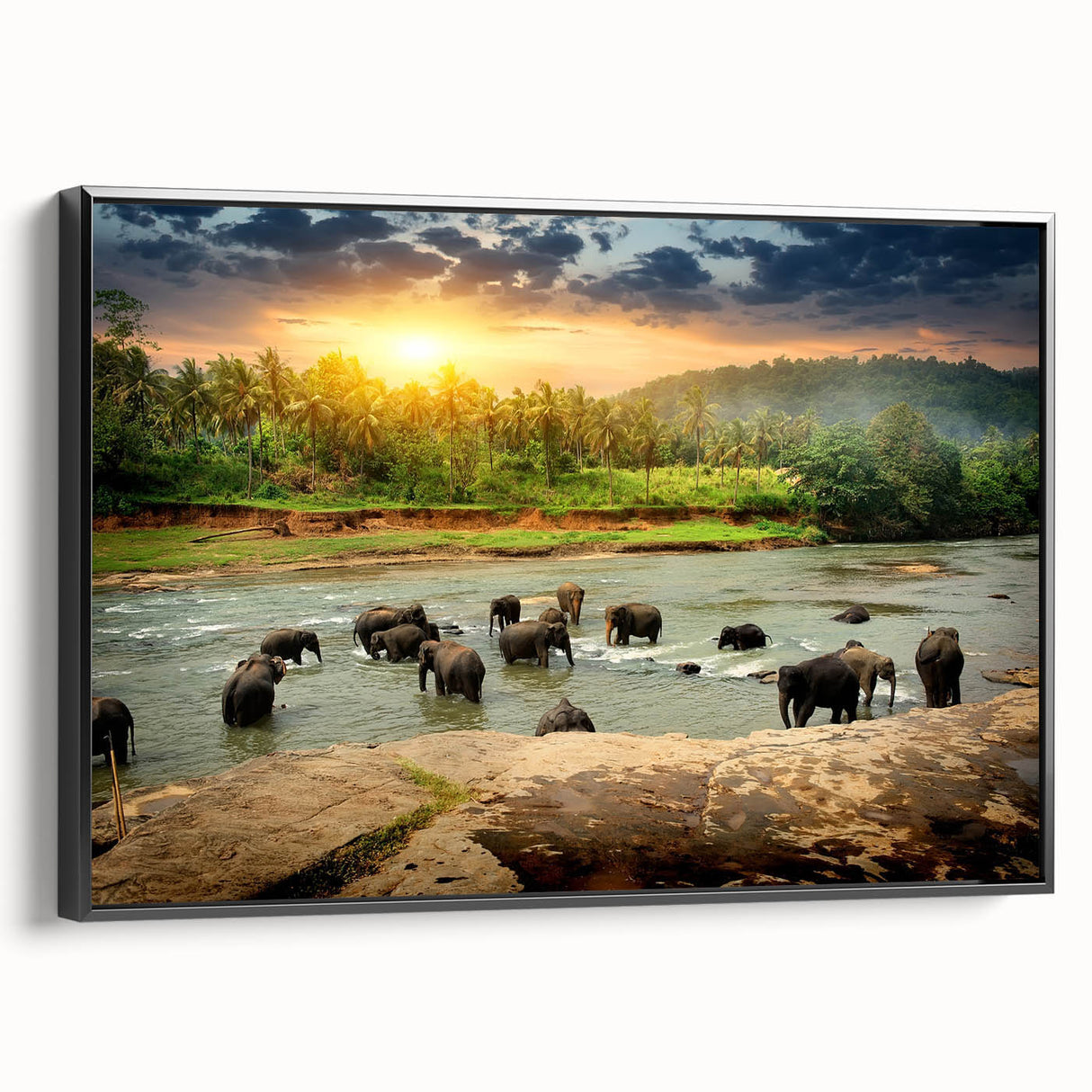 Framed wall art featuring a side view of an elephant, highlighting intricate details and textures, perfect for wildlife enthusiasts and modern decor.