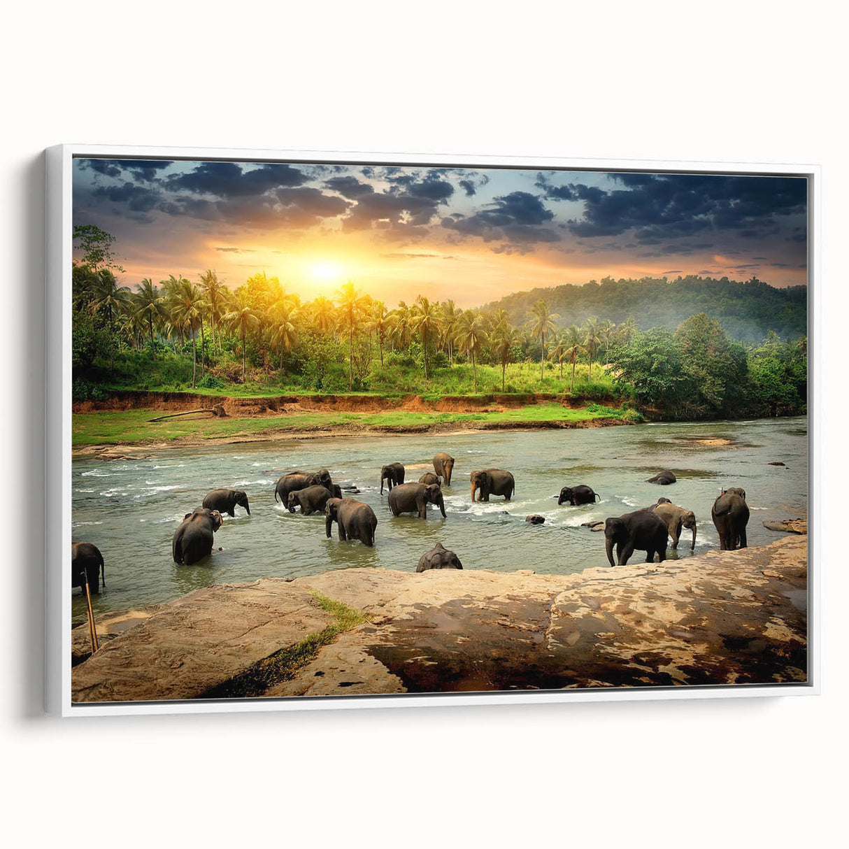 Framed canvas wall art featuring a side view of a majestic elephant, showcasing intricate details and a serene white background, perfect for wildlife enthusiasts.