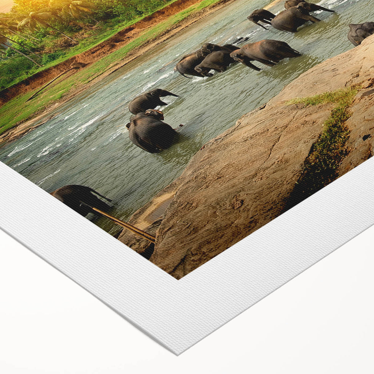 Elegant rolled canvas art showcasing a majestic African elephant in a vibrant, colorful design, perfect for wildlife enthusiasts and home decor lovers. The artwork features intricate details that capture the beauty of nature, making it a stunning addition to any room. Packaged securely in a protective cardboard tube for safe shipping.