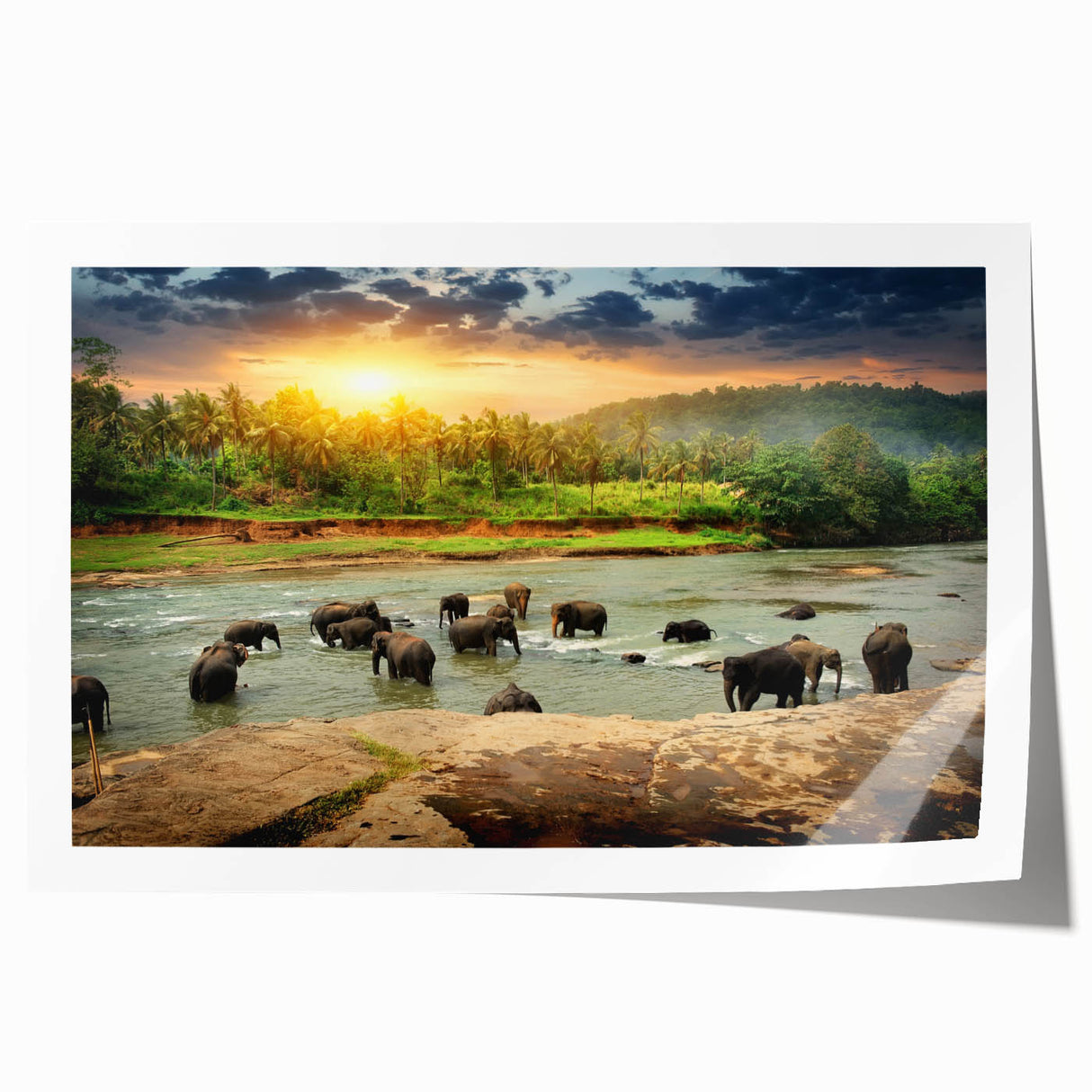 Elephant wall art design featuring a majestic African elephant in vibrant colors, rolled and ready for display in a sturdy cardboard tube, ideal for home decor.