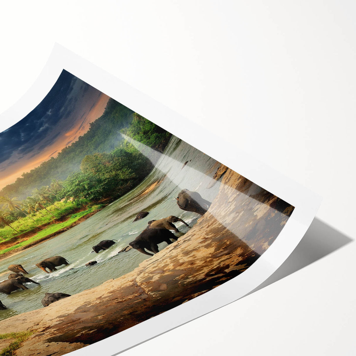 Vibrant rolled print of an elephant-themed wall art design showcasing intricate details and natural colors, perfect for wildlife enthusiasts' decor.