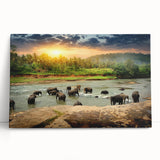 Stretched canvas wall art featuring a majestic African elephant design, showcasing vibrant colors and intricate details, perfect for wildlife enthusiasts and home decor.