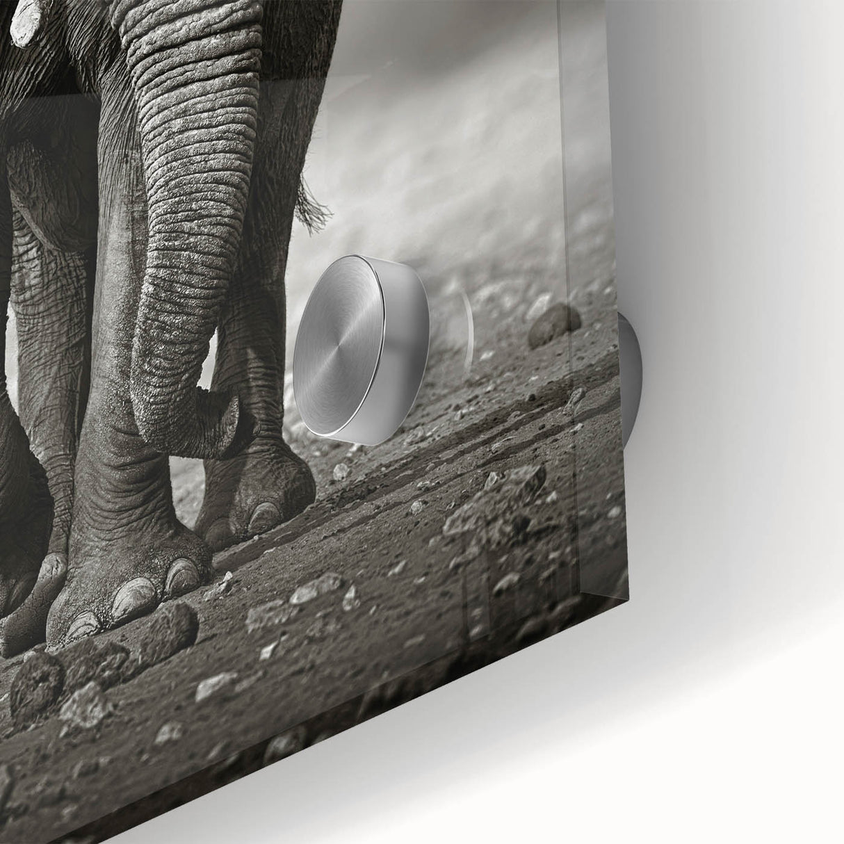 Close-up of an elephant-themed wall art piece, showcasing intricate details and vibrant colors on acrylic glass, perfect for wildlife enthusiasts.