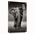 Acrylic glass wall art featuring a side view of a majestic elephant design, showcasing intricate details and vibrant colors, perfect for wildlife-themed decor.