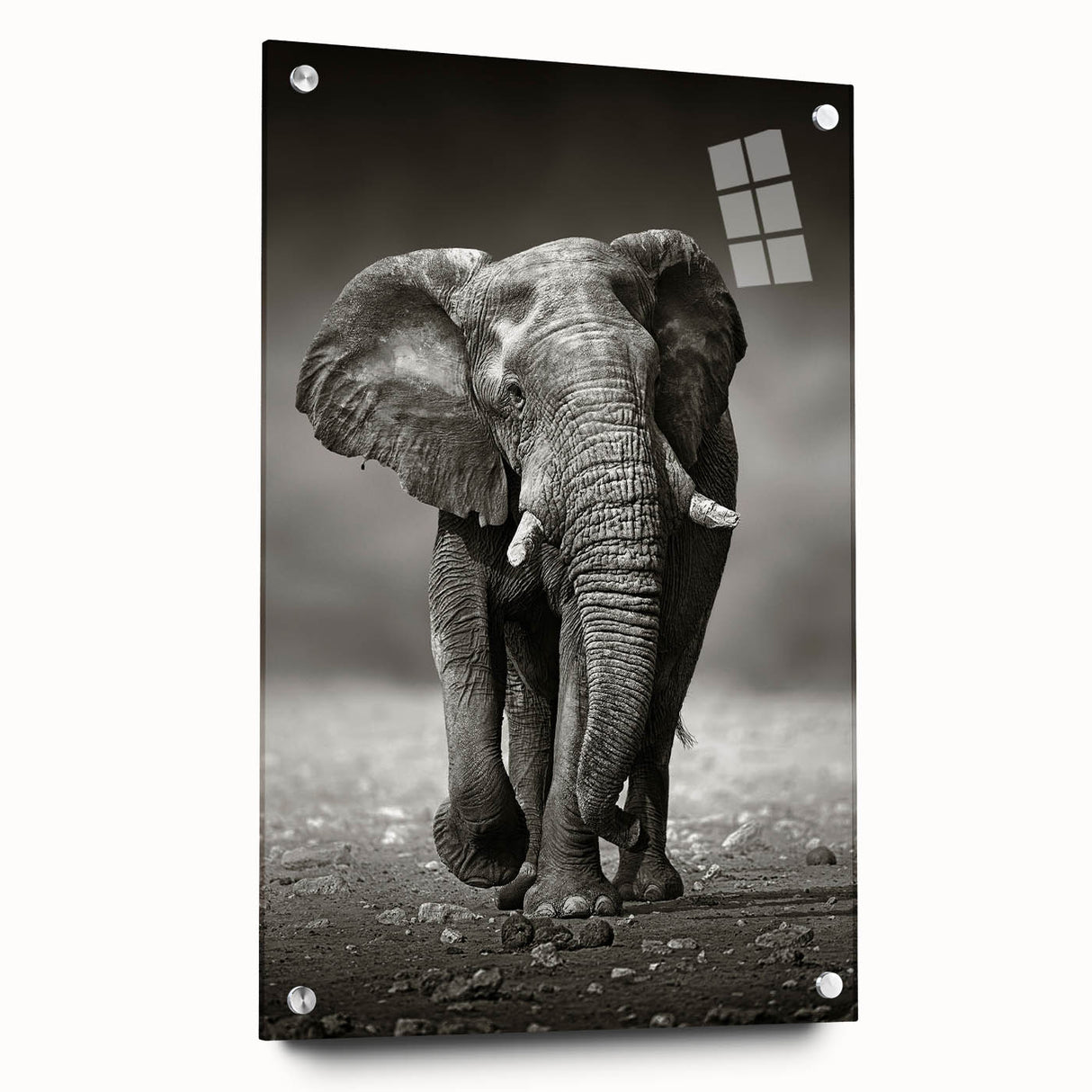 Acrylic glass wall art featuring a side view of a majestic elephant design, showcasing intricate details and vibrant colors, perfect for wildlife-themed decor.