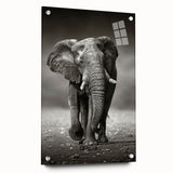 Acrylic glass wall art featuring a side view of a majestic elephant design, showcasing intricate details and vibrant colors, perfect for wildlife-themed decor.