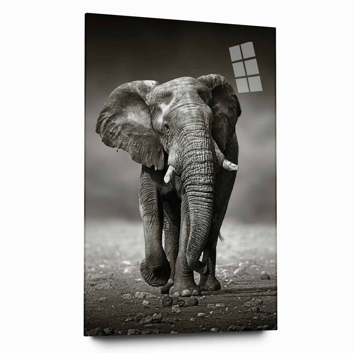 Vibrant acrylic glass wall art featuring a majestic side view of an elephant, showcasing intricate details and colors, perfect for wildlife enthusiasts and home decor.