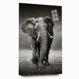 Vibrant acrylic glass wall art featuring a majestic side view of an elephant, showcasing intricate details and colors, perfect for wildlife enthusiasts and home decor.