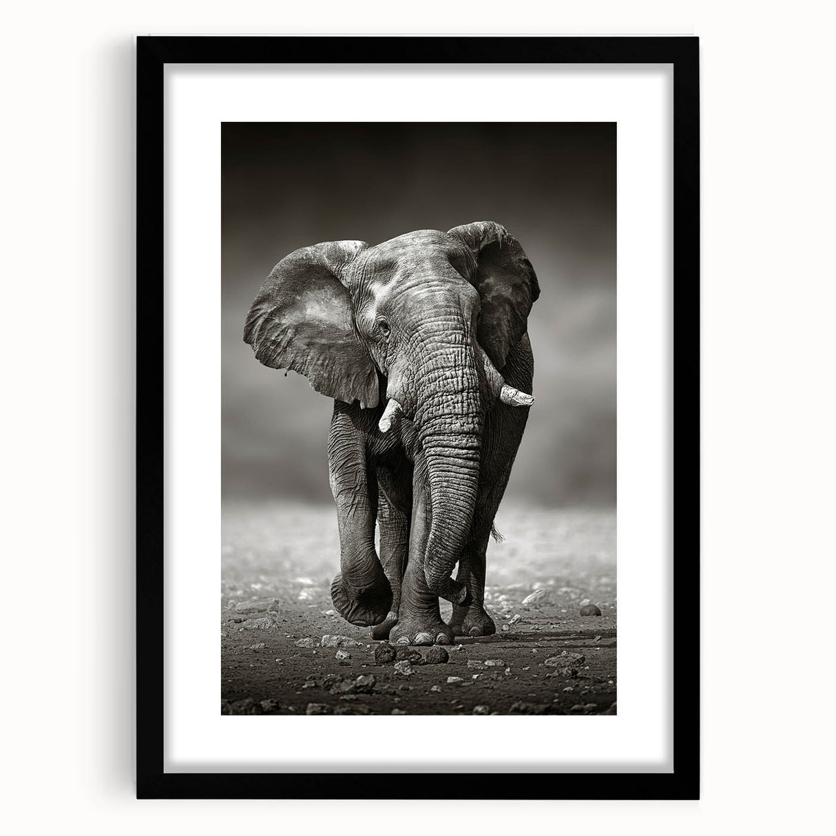 Elephant-themed wall art framed in black, showcasing intricate details and textures, perfect for wildlife enthusiasts and modern decor. Ideal for elevating any space.