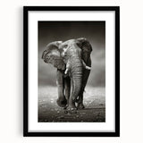 Elephant-themed wall art framed in black, showcasing intricate details and textures, perfect for wildlife enthusiasts and modern decor. Ideal for elevating any space.