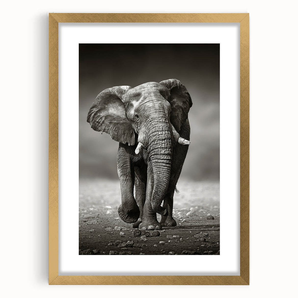 Gold-framed wall art featuring a majestic elephant design in a vibrant, colorful style. Ideal for nature lovers, this striking piece adds elegance to any decor.