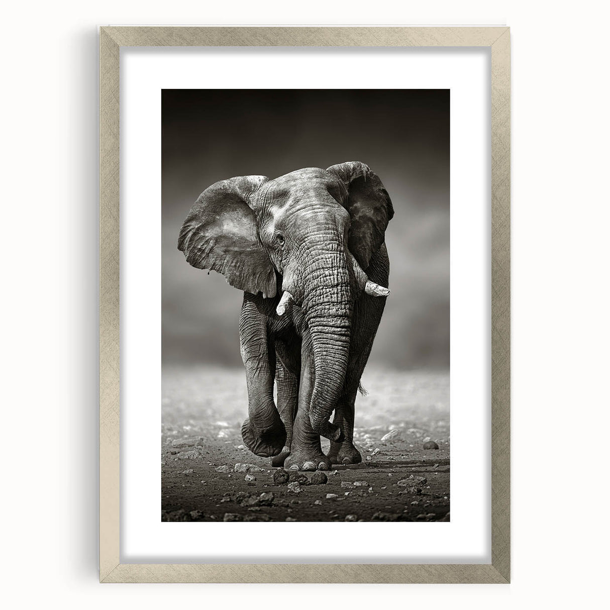 Framed wall art showcasing a majestic elephant design in a silver frame with matting, perfect for wildlife enthusiasts and home decor.