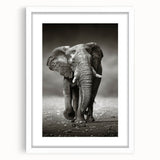 Framed wall art collection showcasing an elegant elephant design in a white mat, perfect for animal lovers and nature enthusiasts, enhancing home decor.