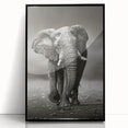 Framed acrylic wall art featuring a majestic elephant design in a black frame, ideal for wildlife enthusiasts and home decor, enhancing any interior space.