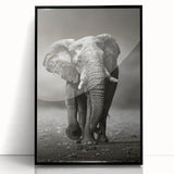 Framed acrylic wall art featuring a majestic elephant design in a black frame, ideal for wildlife enthusiasts and home decor, enhancing any interior space.