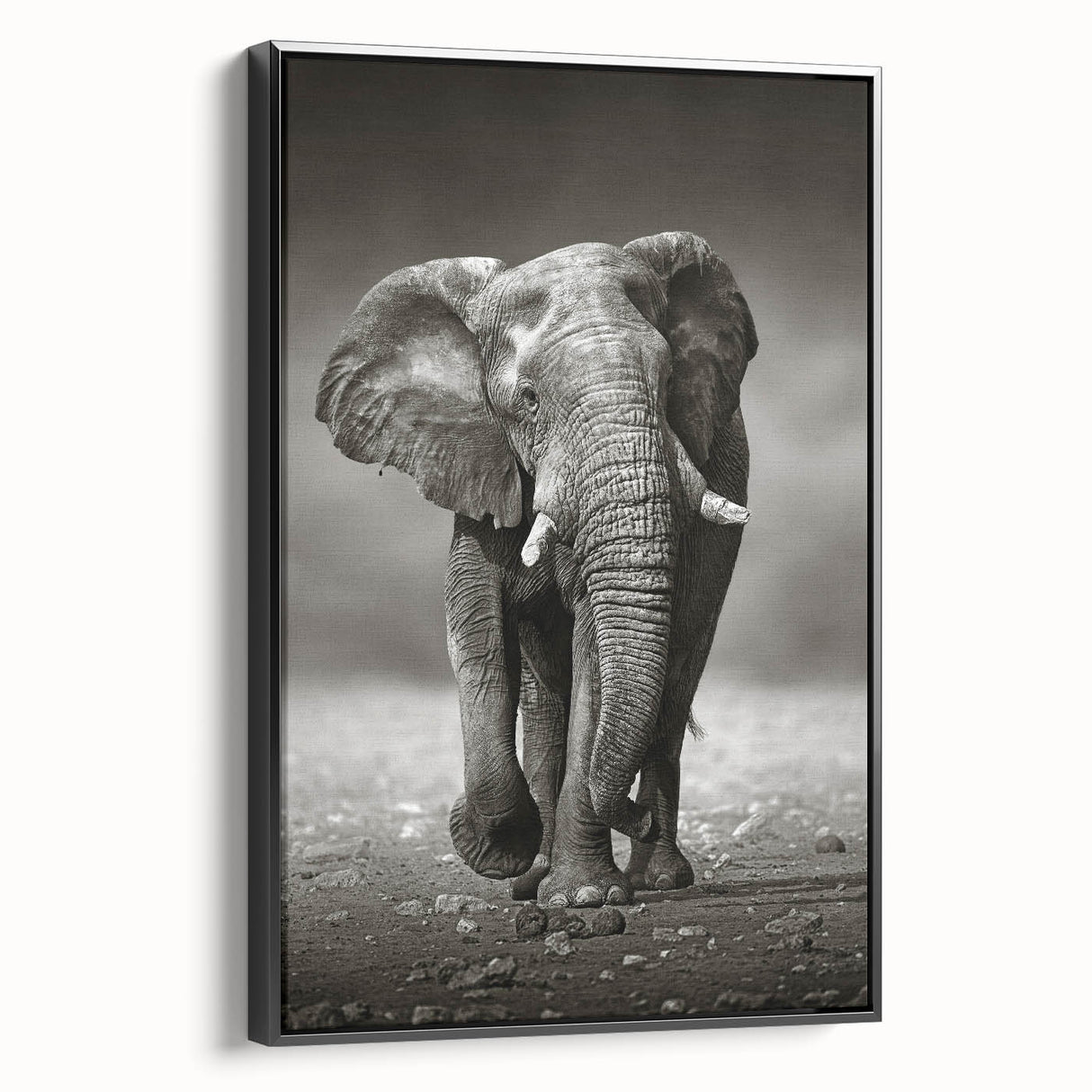 Framed canvas wall art showcasing a majestic side view of an elephant in a black and white design, perfect for wildlife-themed decor.
