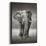 Framed canvas wall art showcasing a majestic side view of an elephant in a black and white design, perfect for wildlife-themed decor.