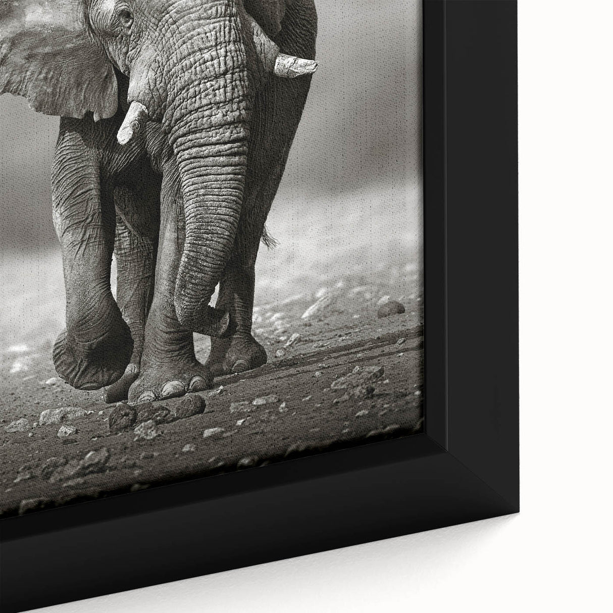 Close-up of a framed canvas wall art featuring an intricate elephant design, showcasing detailed textures and vibrant colors, perfect for wildlife enthusiasts.