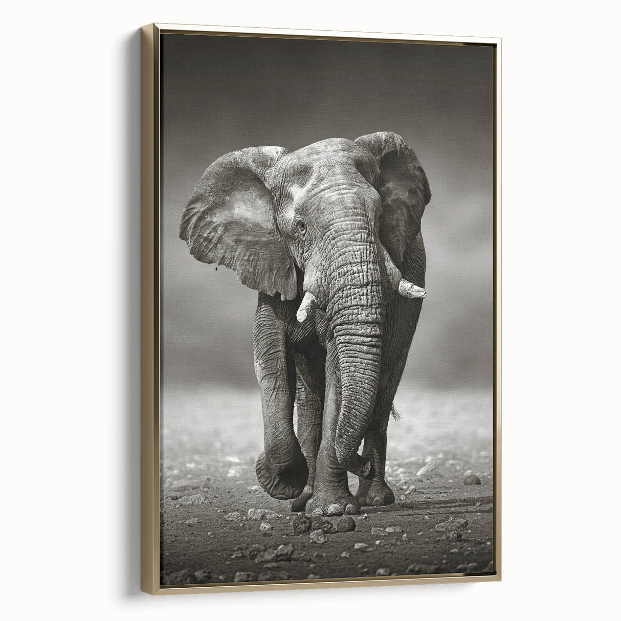Framed canvas wall art showcasing a majestic elephant design in gold tones, set against a textured background, ideal for wildlife enthusiasts and home decor.