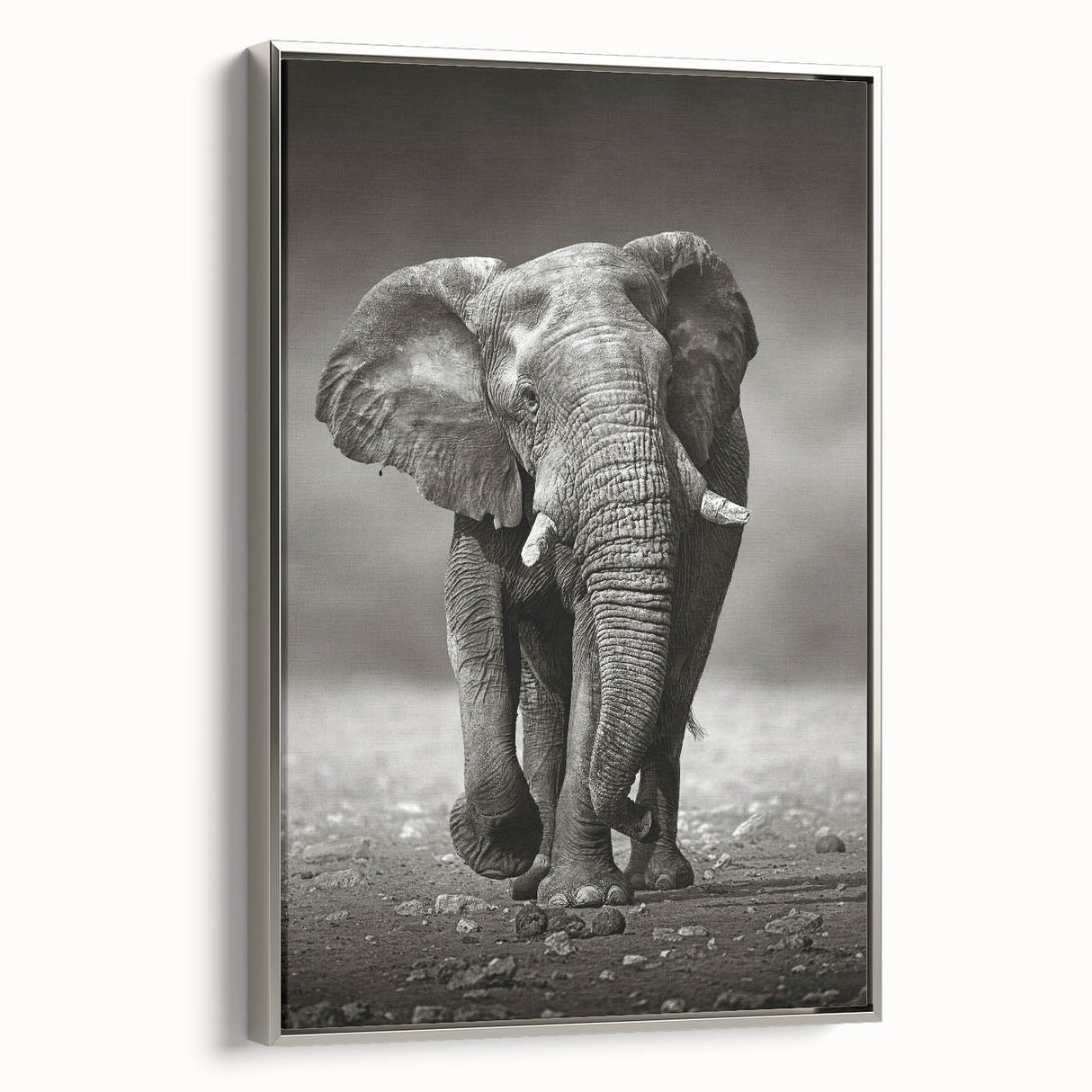 Framed canvas wall art featuring a side view of a majestic elephant in a silver design, showcasing intricate details and vibrant colors, perfect for wildlife enthusiasts.