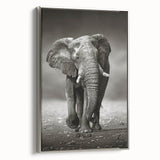 Framed canvas wall art featuring a side view of a majestic elephant in a silver design, showcasing intricate details and vibrant colors, perfect for wildlife enthusiasts.