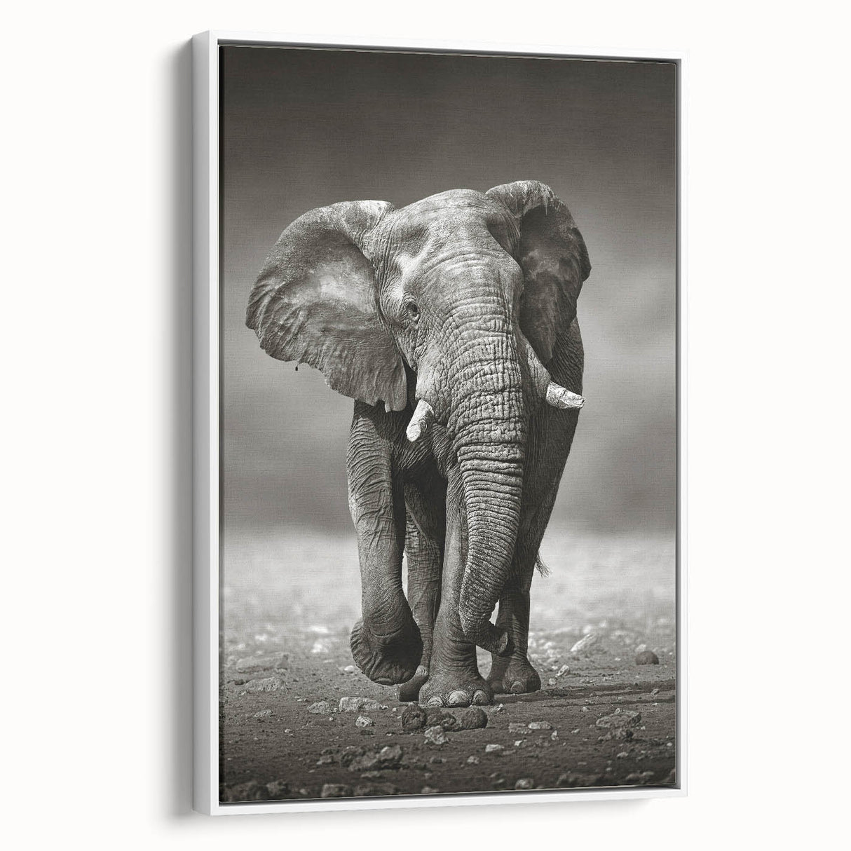 Framed canvas wall art featuring a serene side view of an elephant, showcasing intricate details and a soft white background, ideal for wildlife enthusiasts and home decor.