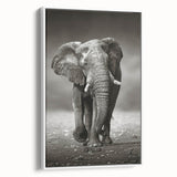 Framed canvas wall art featuring a serene side view of an elephant, showcasing intricate details and a soft white background, ideal for wildlife enthusiasts and home decor.
