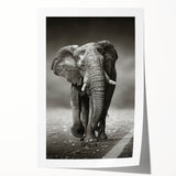 Vibrant elephant-themed wall art print showcasing a colorful, abstract design, perfect for animal lovers and home decor enthusiasts, rolled for easy display.